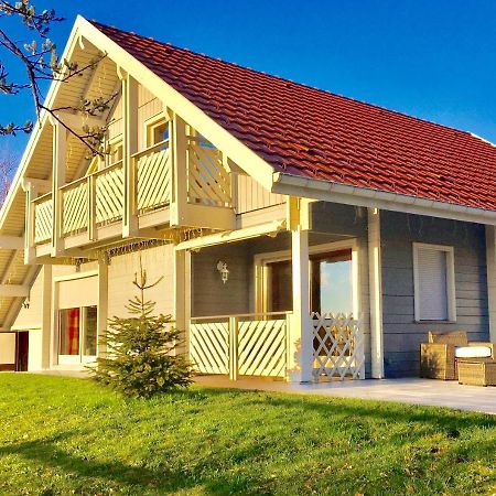 Chalet Le Flocon Bleu - Mauselaine Avec Vue Sur Le Lac De Gérardmer Buitenkant foto