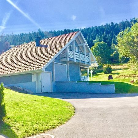 Chalet Le Flocon Bleu - Mauselaine Avec Vue Sur Le Lac De Gérardmer Buitenkant foto