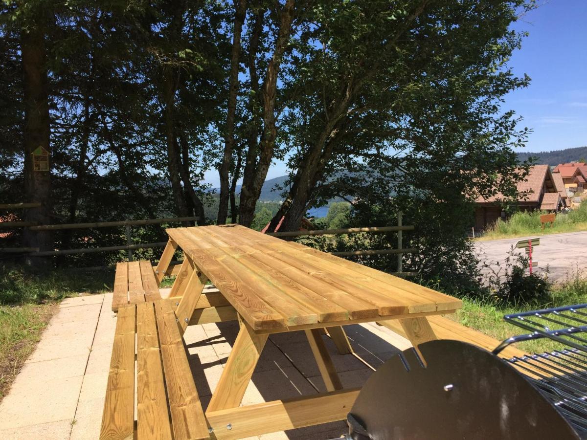 Chalet Le Flocon Bleu - Mauselaine Avec Vue Sur Le Lac De Gérardmer Buitenkant foto