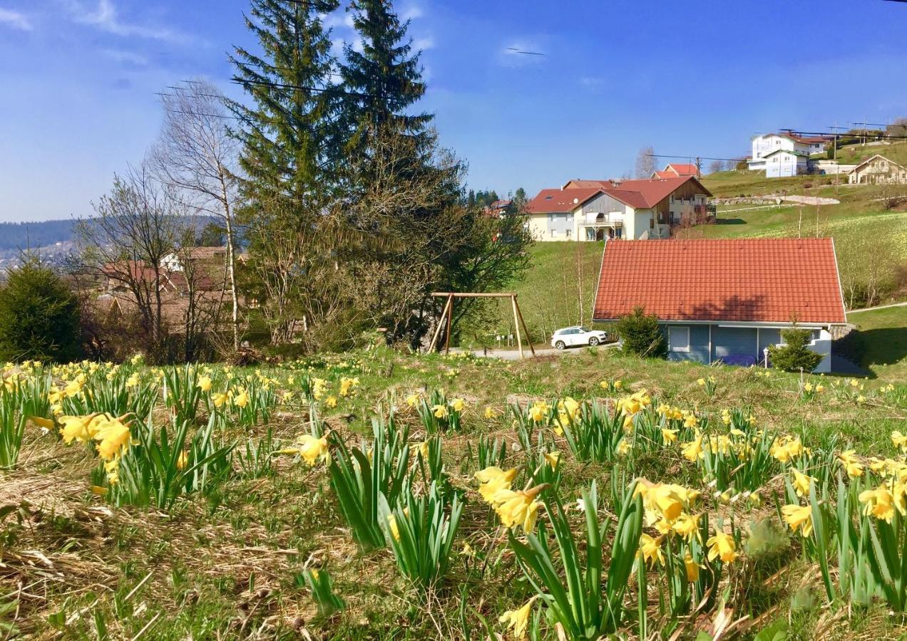 Chalet Le Flocon Bleu - Mauselaine Avec Vue Sur Le Lac De Gérardmer Buitenkant foto