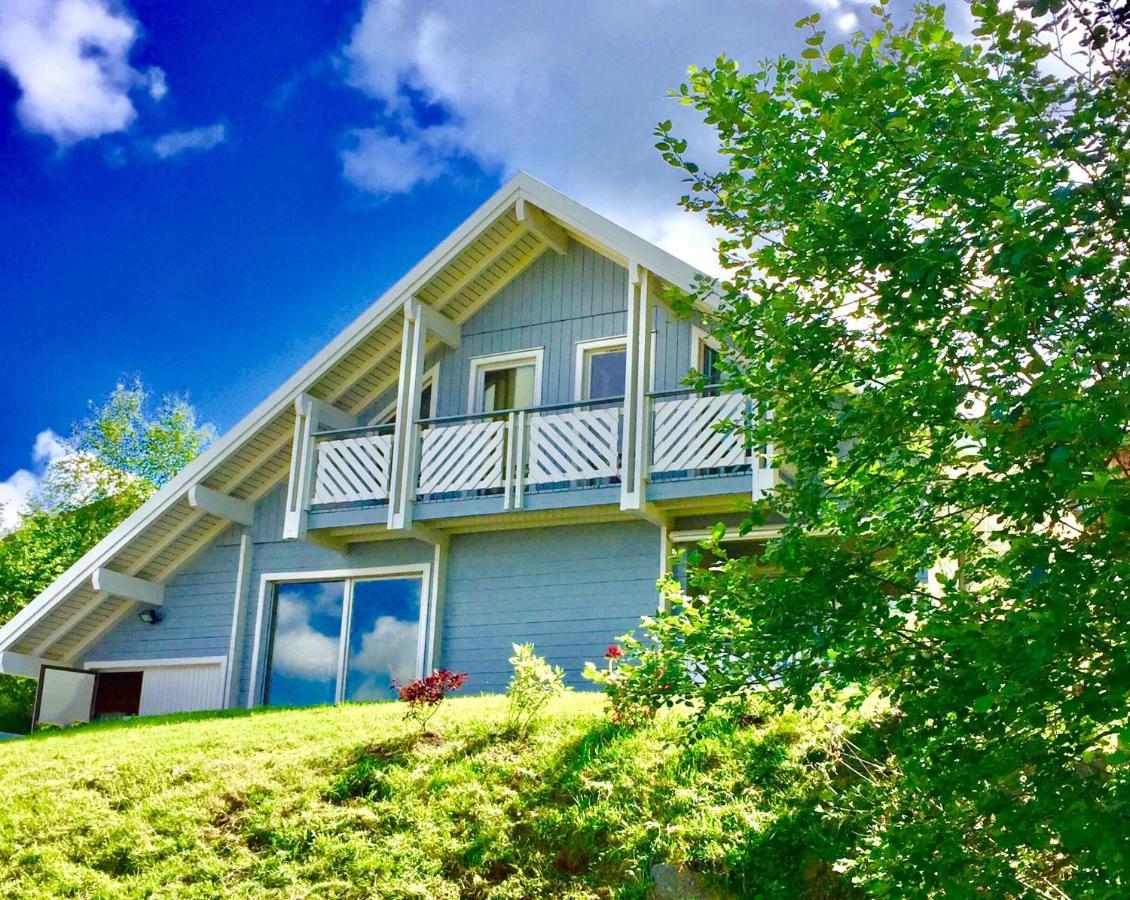Chalet Le Flocon Bleu - Mauselaine Avec Vue Sur Le Lac De Gérardmer Buitenkant foto
