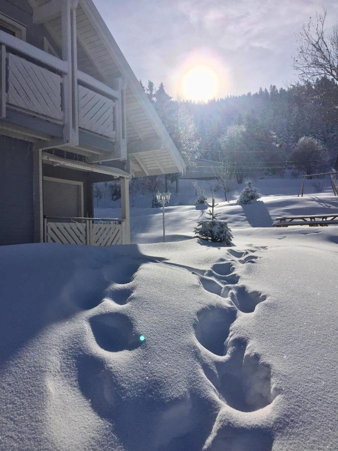 Chalet Le Flocon Bleu - Mauselaine Avec Vue Sur Le Lac De Gérardmer Buitenkant foto