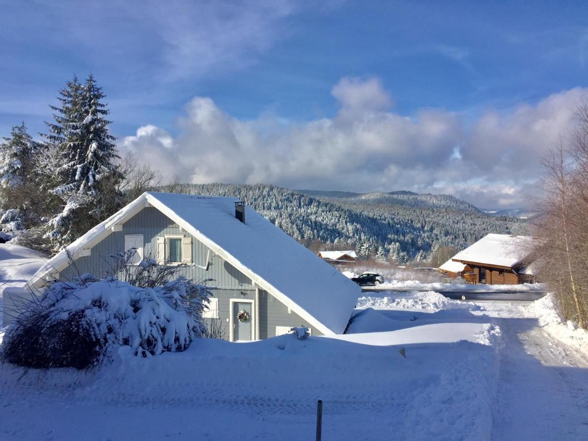 Chalet Le Flocon Bleu - Mauselaine Avec Vue Sur Le Lac De Gérardmer Buitenkant foto