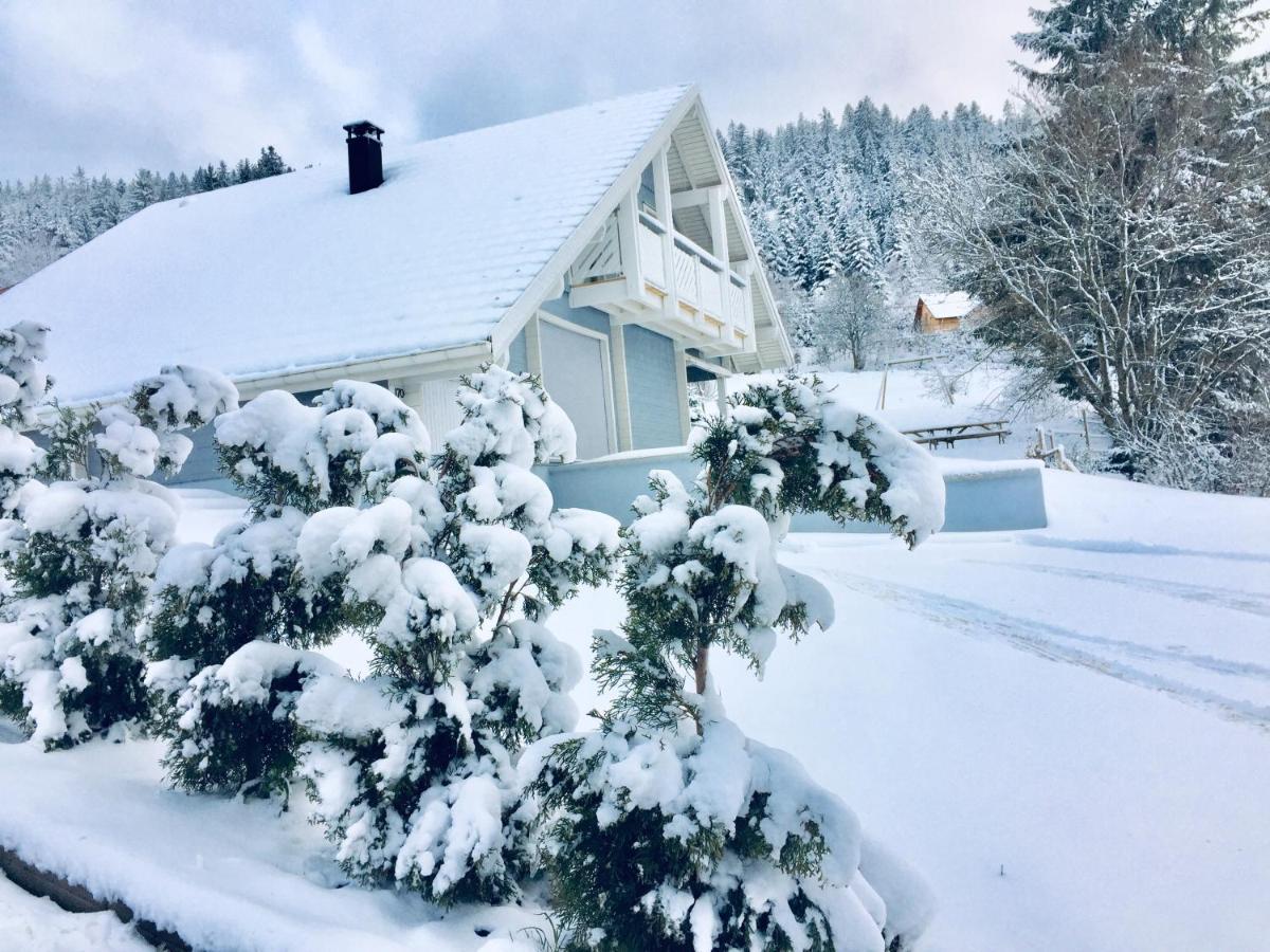 Chalet Le Flocon Bleu - Mauselaine Avec Vue Sur Le Lac De Gérardmer Buitenkant foto