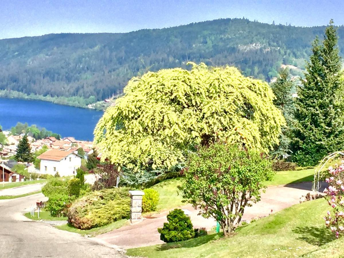 Chalet Le Flocon Bleu - Mauselaine Avec Vue Sur Le Lac De Gérardmer Buitenkant foto