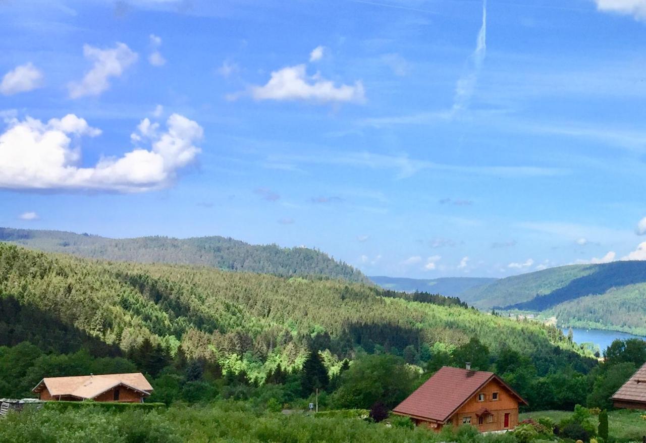 Chalet Le Flocon Bleu - Mauselaine Avec Vue Sur Le Lac De Gérardmer Buitenkant foto