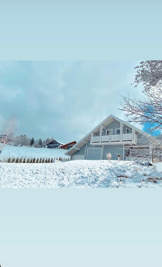 Chalet Le Flocon Bleu - Mauselaine Avec Vue Sur Le Lac De Gérardmer Buitenkant foto